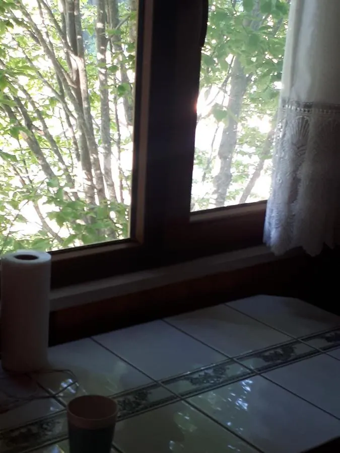 Yayla Evi Villa Trabzon Dağ evi